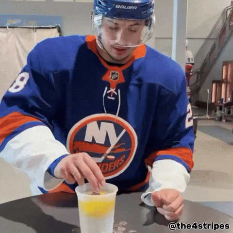 Hockey Seriously GIF