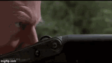 Clever Girl GIF