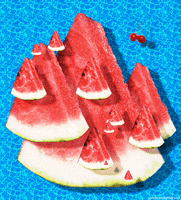 Food Watermelon GIF