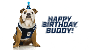 Butler Bulldogs GIF by Butler University