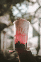 200.gif?cid=fc005b08211836fcbfec32189e1c53d83f444e254ac02b45&rid=200.gif&ct=g