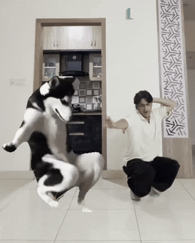 Dance Dog Dancing GIF