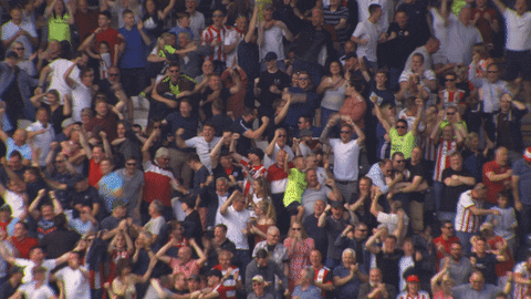 Sheffield United Soccer GIF by Sheffield United Football Club - Find & Share on GIPHY