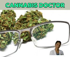Cannabis Doctor GIF