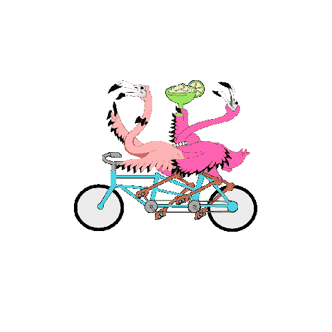 Sticker by Bombay Bicycle Club SA