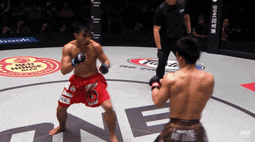 The Passion Knockout GIF by ONE Championship