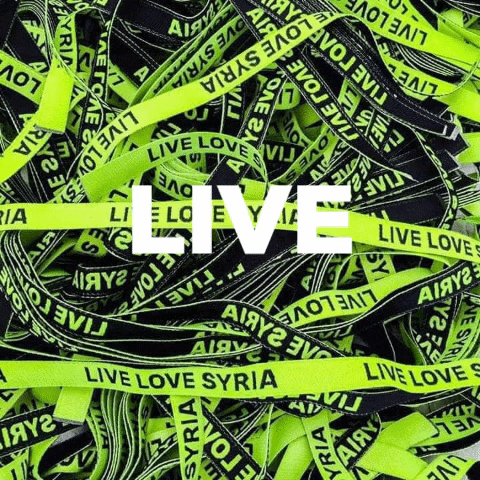 LiveLoveSyria GIF
