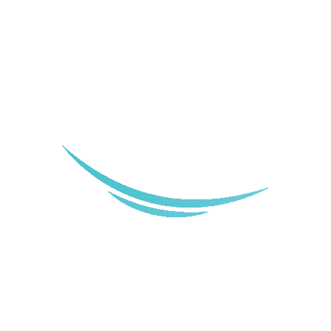 congresultransilvania Sticker