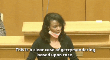 Gerrymandering Redistricting GIF by GIPHY News