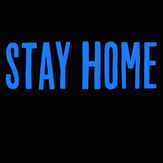 Vote Stay Home