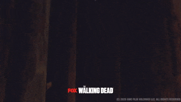 200.gif?cid=fc005b088e65fa7cd390acca105c2fc6f8f56a61e12e7902&rid=200.gif&ct=g