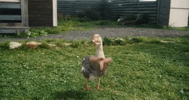 Dancing GIF