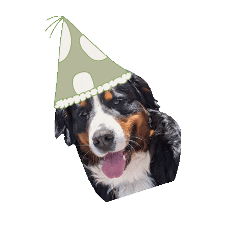 Party Sticker