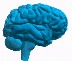 University GIF