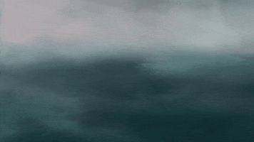 holpi GIF