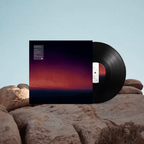 Vinyl GIF by CITY OF THE SUN