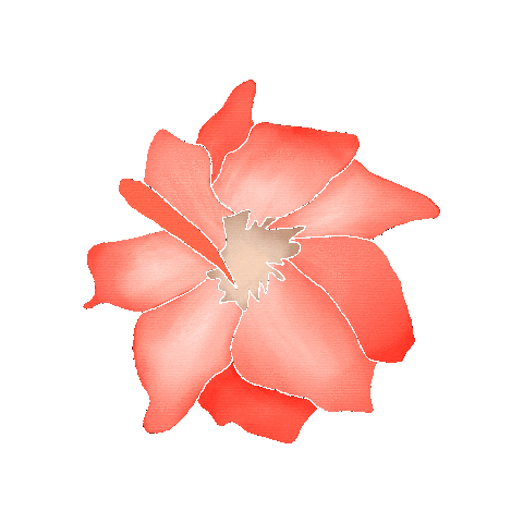 Flower Plant Sticker