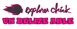 explorerchick Sticker