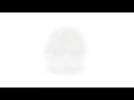 Usa GIF