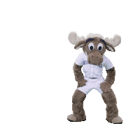 seattle mariners mariner moose Sticker by MLB