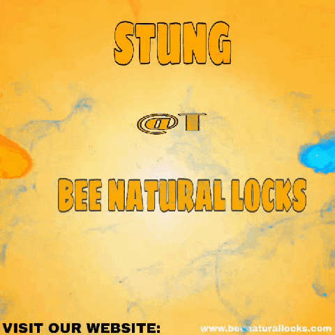 BeeNaturalLocks bee natural locks beenaturallocks GIF