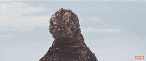 Mothra Vs Godzilla 60S GIF by Turner Classic Movies