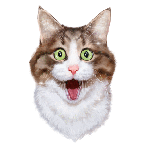 Cat Sticker