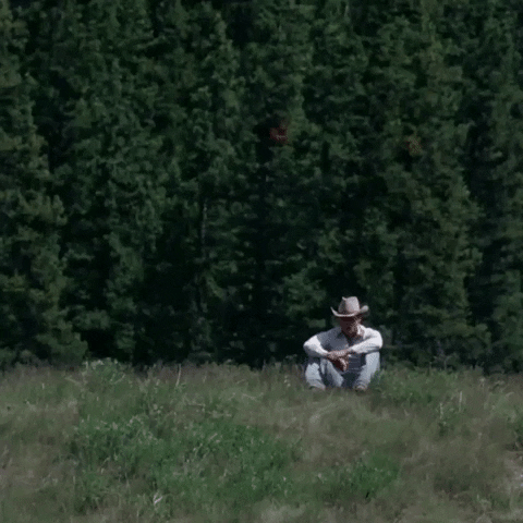 Camping Brokeback Mountain GIF by Focus Features