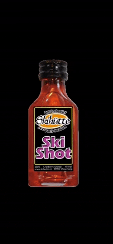 Der Brabander Skihutte GIF