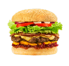 Fries Nz Sticker by BurgerFuel