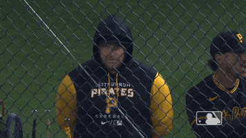 Pittsburgh-Pirates baseball mood winter fall GIF