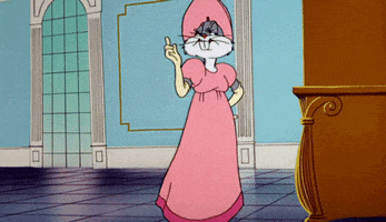 Looney Tunes Dress GIF