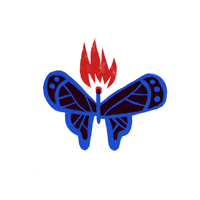200.gif?cid=fc005b08b5d9ecfff27f87ed1ee037ee6c37eca1ba103b81&rid=200.gif&ct=g