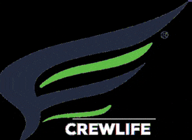 Flight Center Instituto de aviación GIF