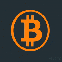Money Bitcoin GIF by Mr.Cryply