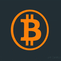 Money Bitcoin GIF by Mr.Cryply