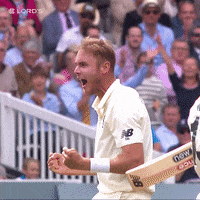 London Yes GIF by Lord's Cricket Ground