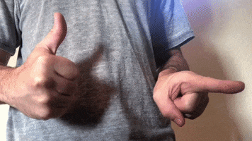 Performance GIF
