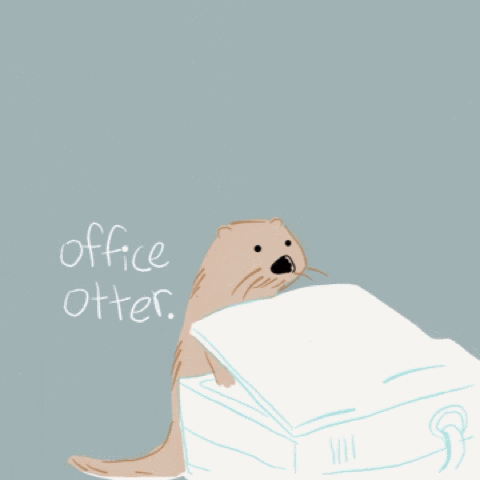 otter copying GIF