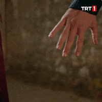 Valentines Day Love GIF by TRT