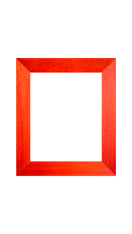 Colors Paint Sticker by CentroCornici