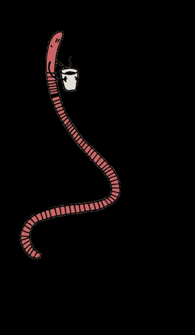 wurmkiste.at GIF