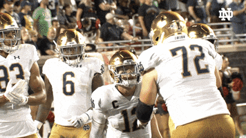 College Football Gold GIF by Notre Dame Fighting Irish