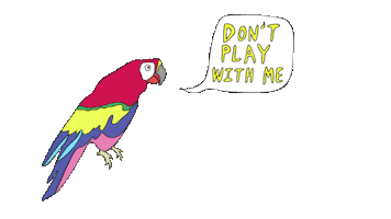 Parrot Don&#39;T Play With Me Sticker by Cuco