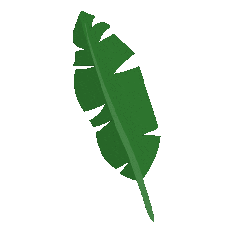 Banana Leaf Plant Sticker by Kew Gardens for iOS & Android | GIPHY