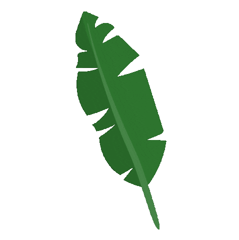 Banana Leaf Plant Sticker by Kew Gardens for iOS & Android | GIPHY Banana Leaf Plant Sticker by Kew Gardens for iOS & Android | GIPHY