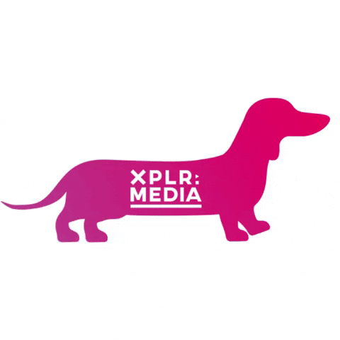 Dog Xplr GIF by XPLR: Media in Bavaria