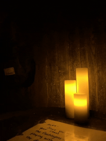 Fun GIF