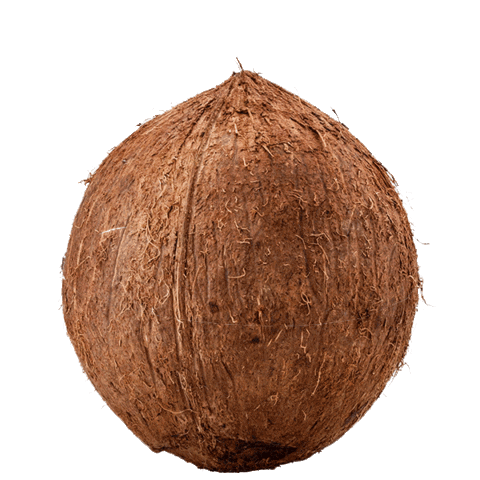 Bolletje Sticker