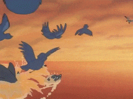 Animated GIF